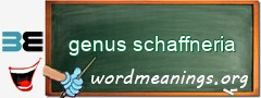 WordMeaning blackboard for genus schaffneria